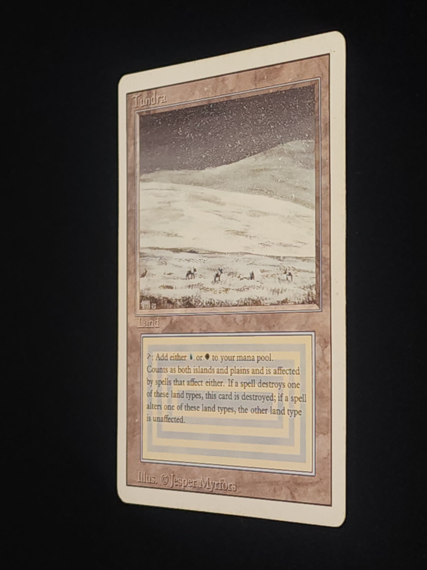 Tundra