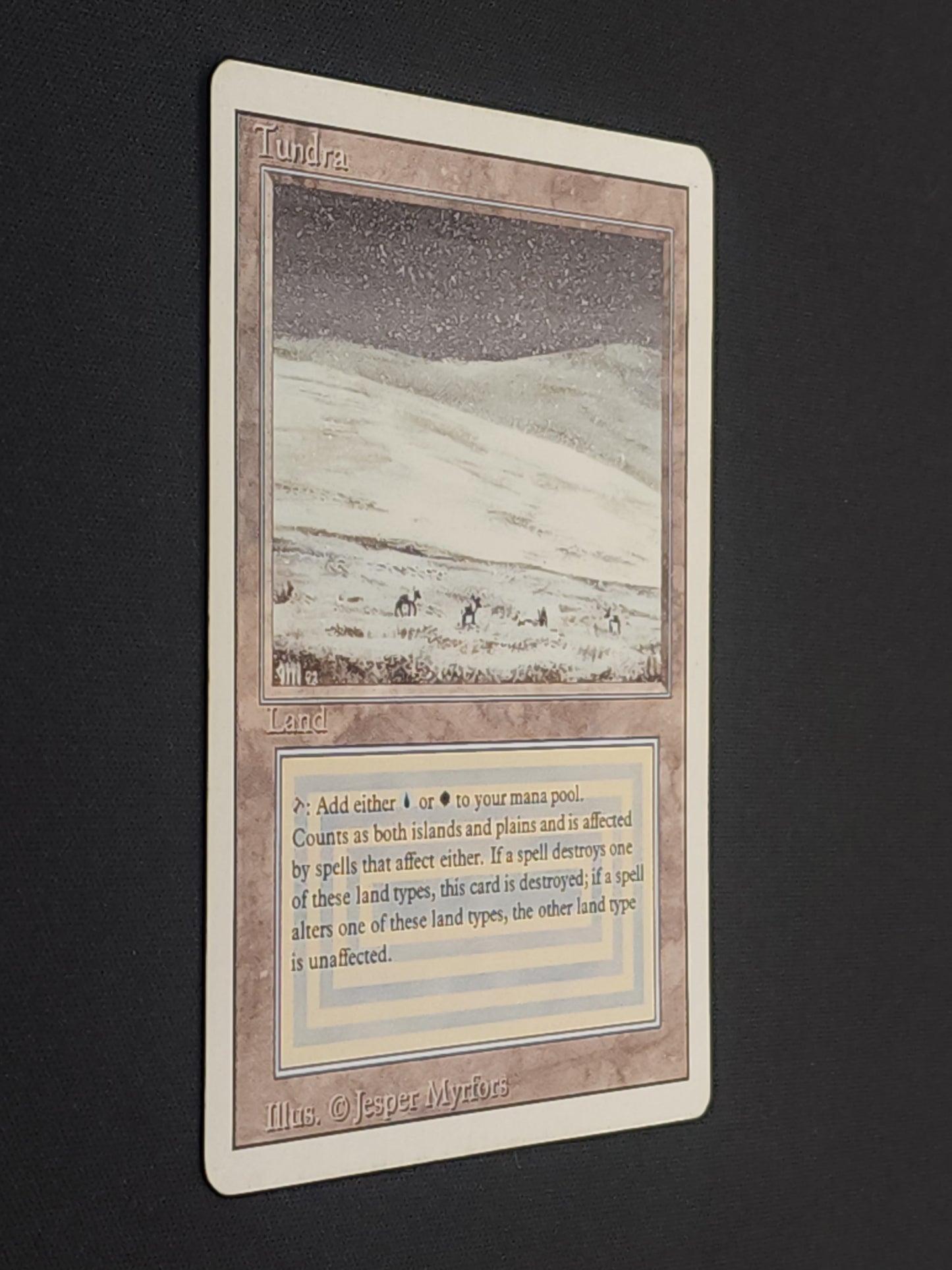 Tundra