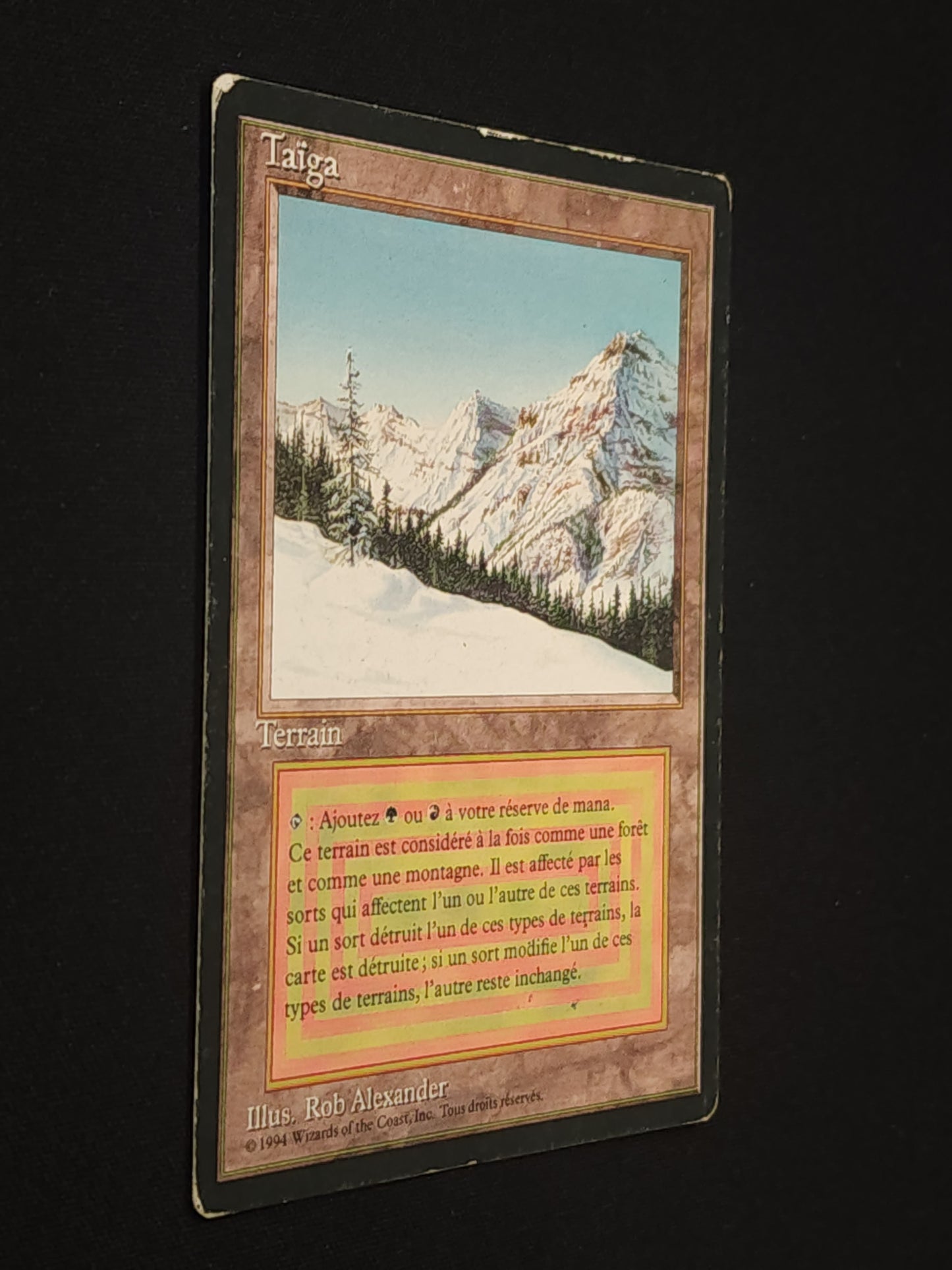 Taiga