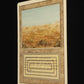 Scrubland