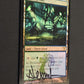 Breeding Pool - Signed
