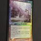 Llanowar Wastes