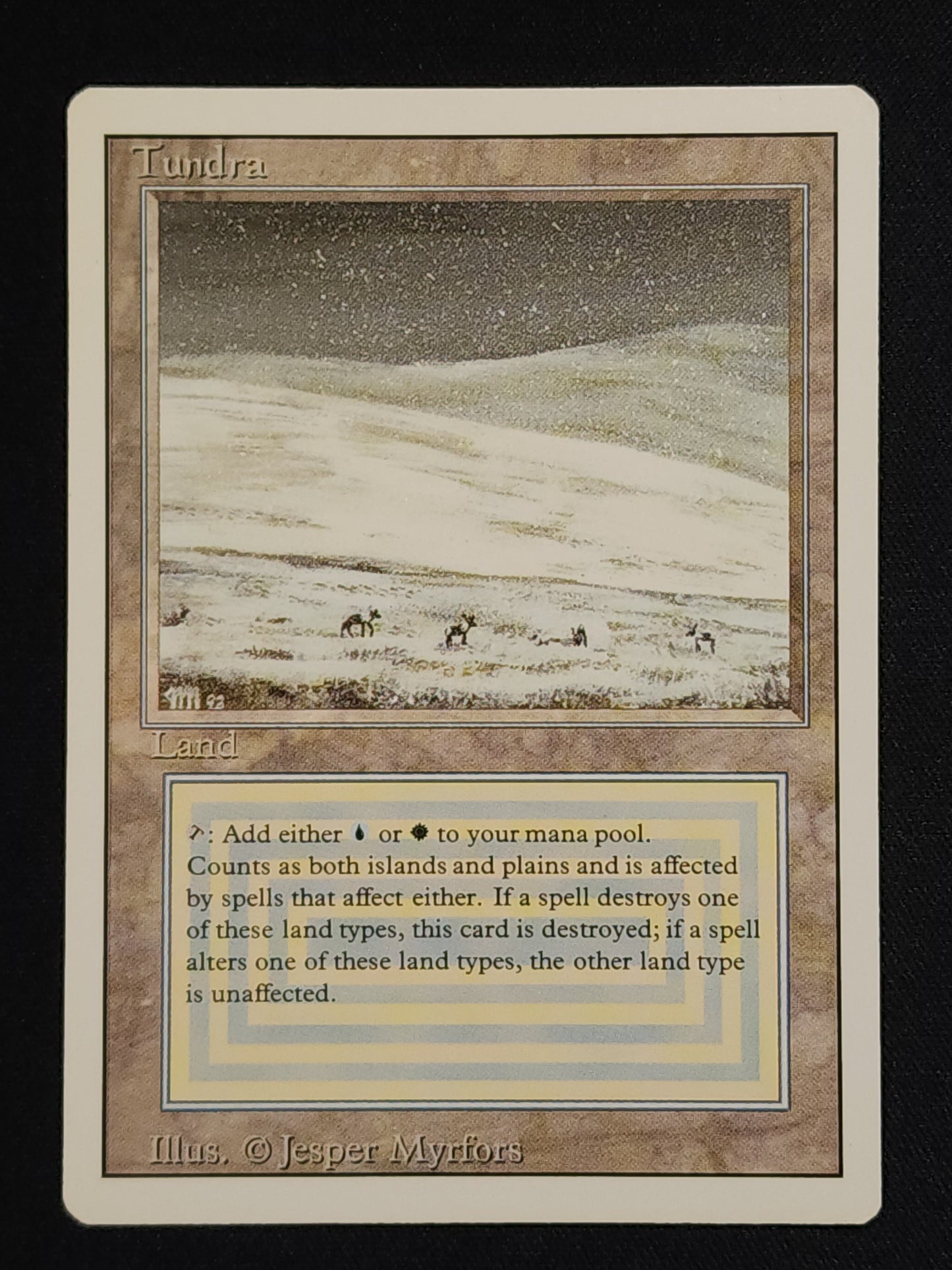 Tundra