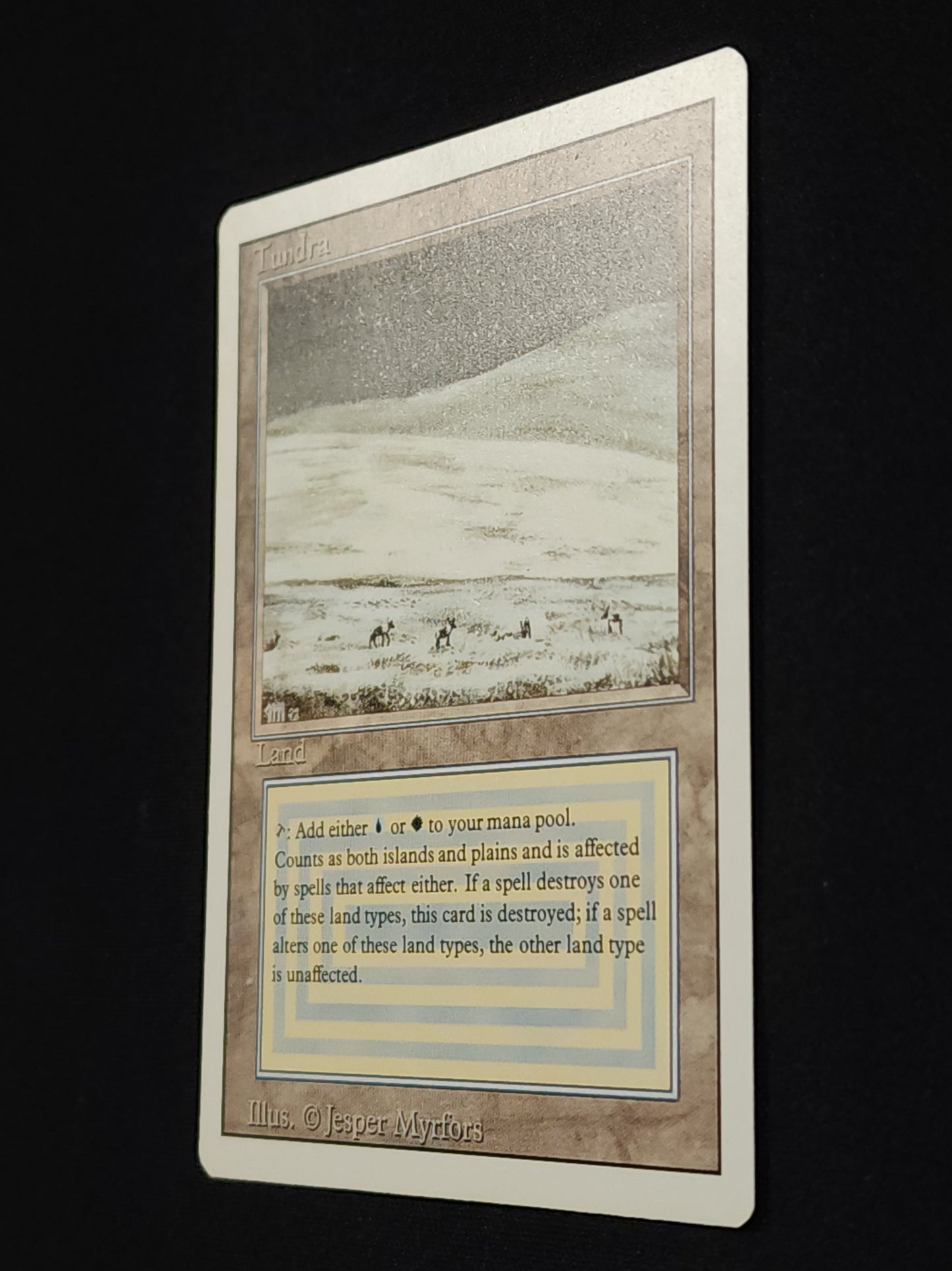 Tundra