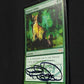 Natural Order - Signed