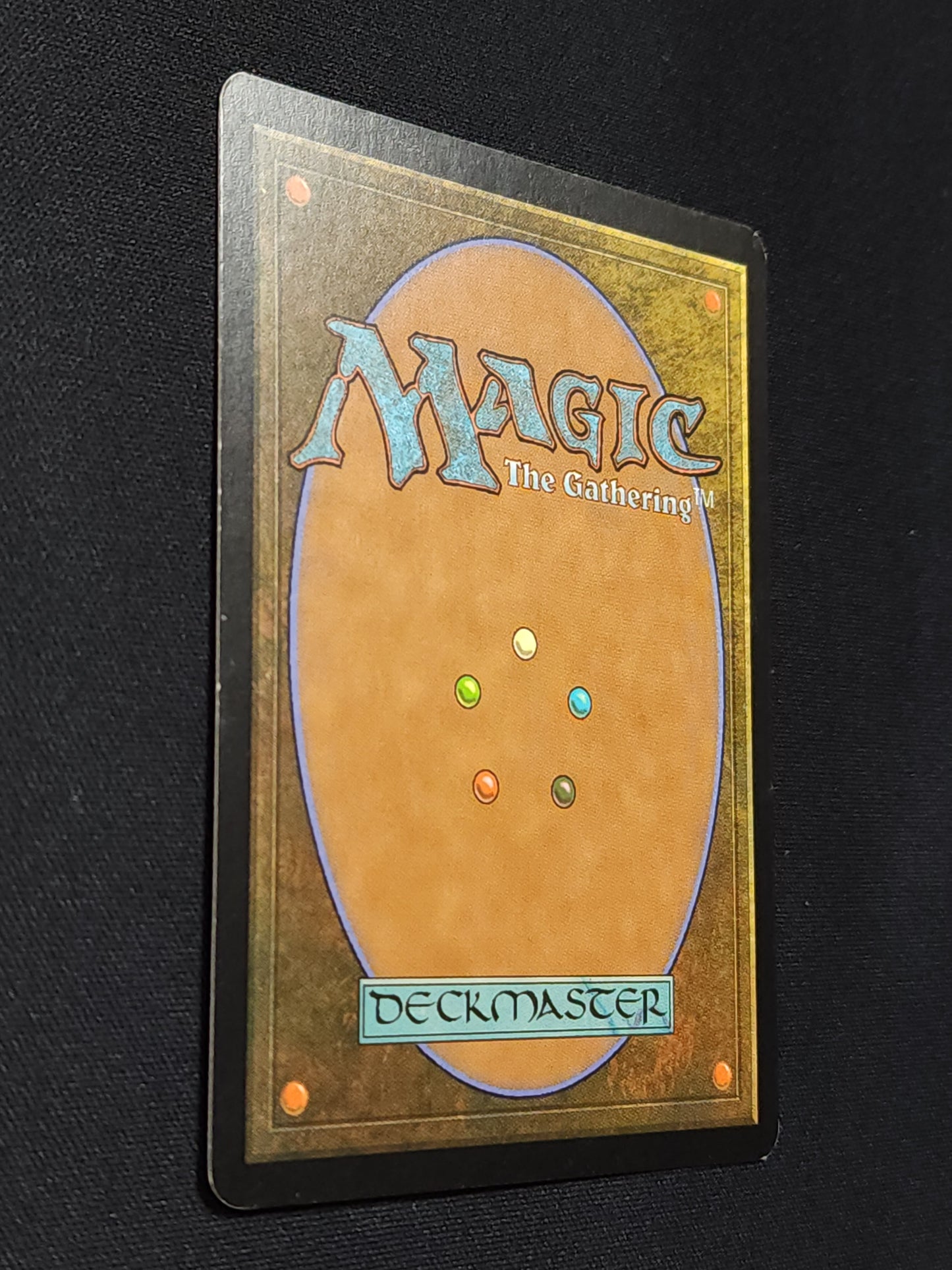 Mogg Fanatic
