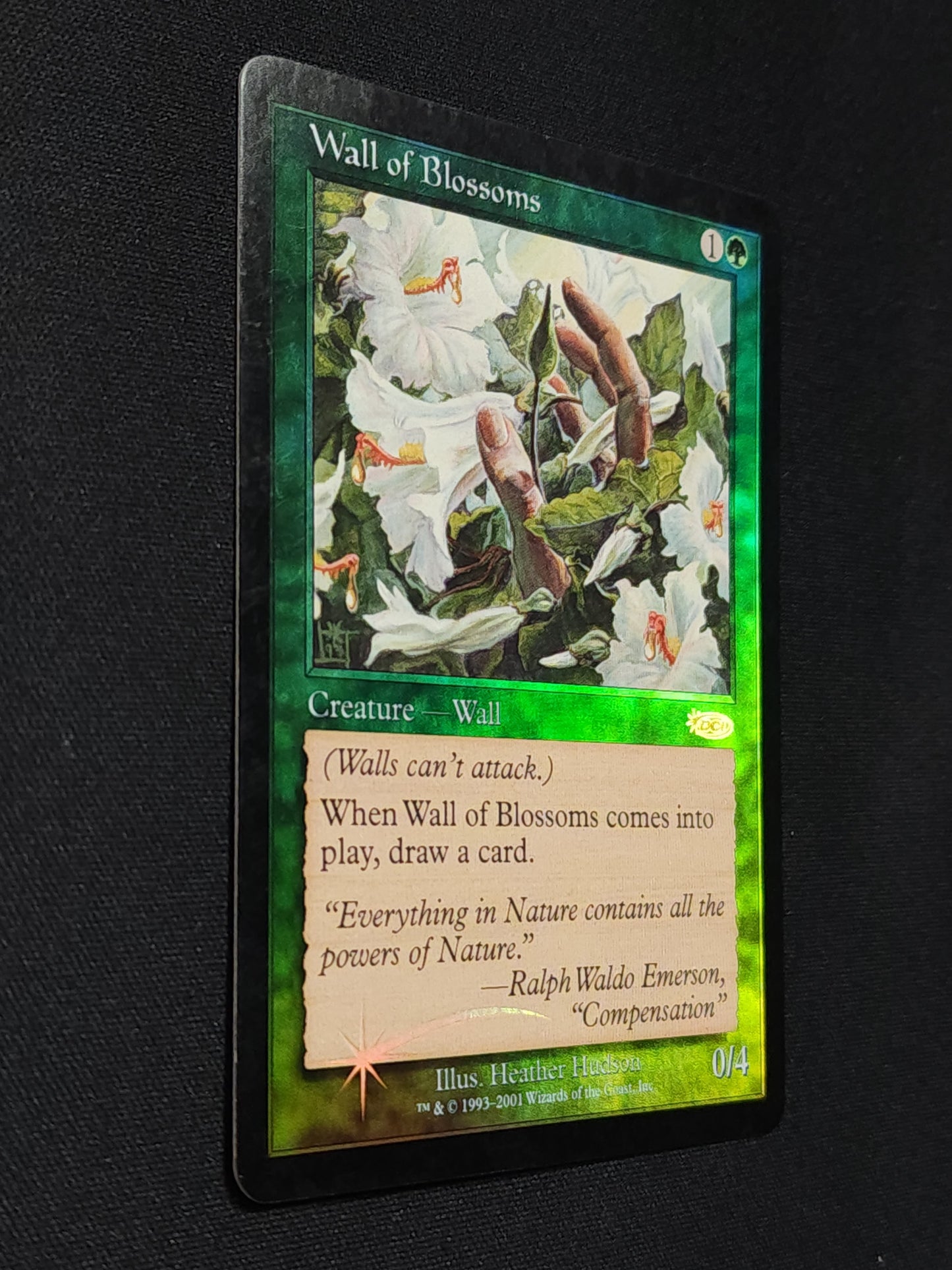 Wall of Blossoms