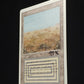 Scrubland - Signed