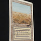 Scrubland - Signed