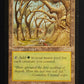 Gaea's Cradle