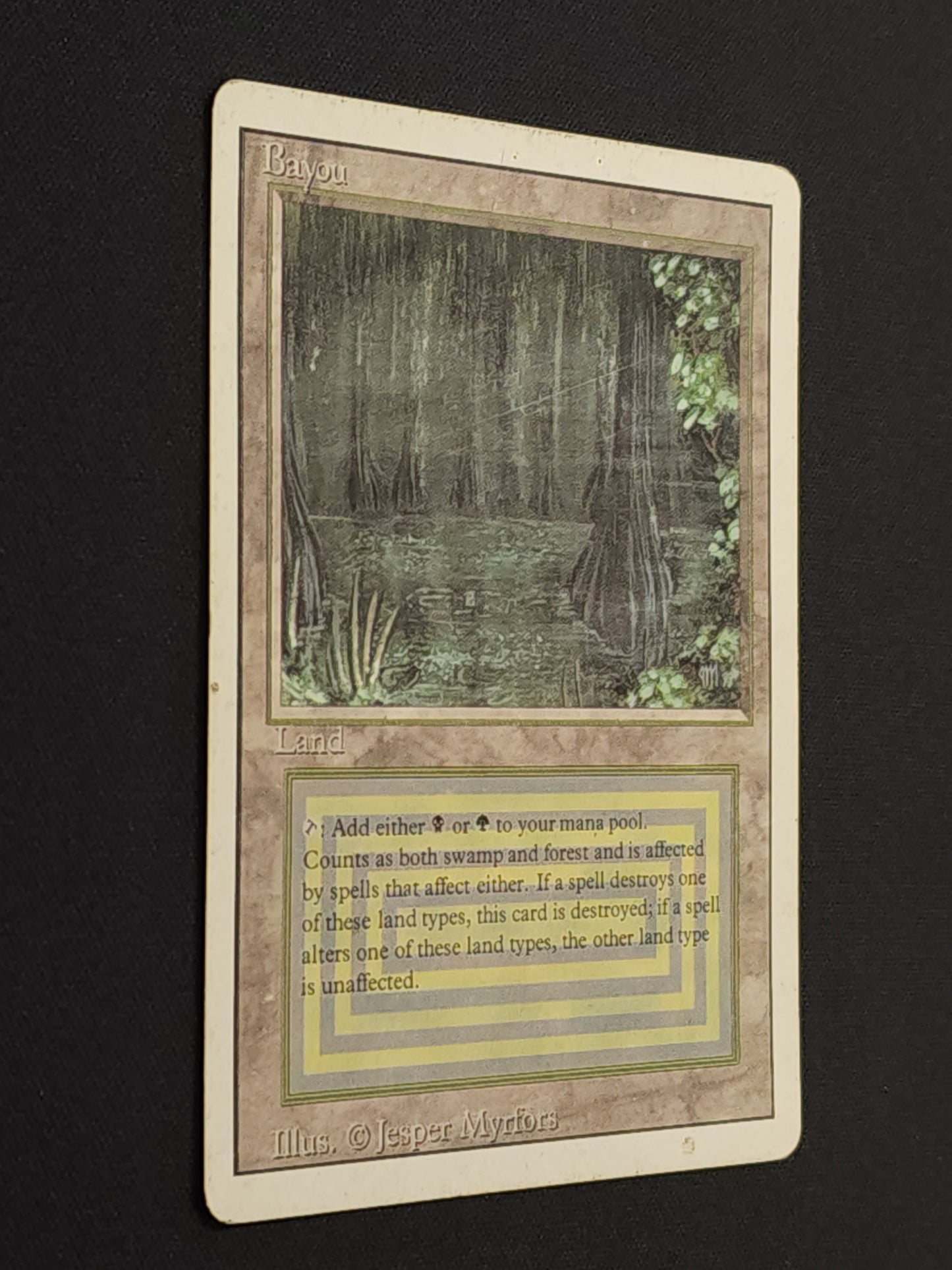 Bayou