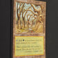Gaea's Cradle