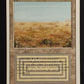 Scrubland