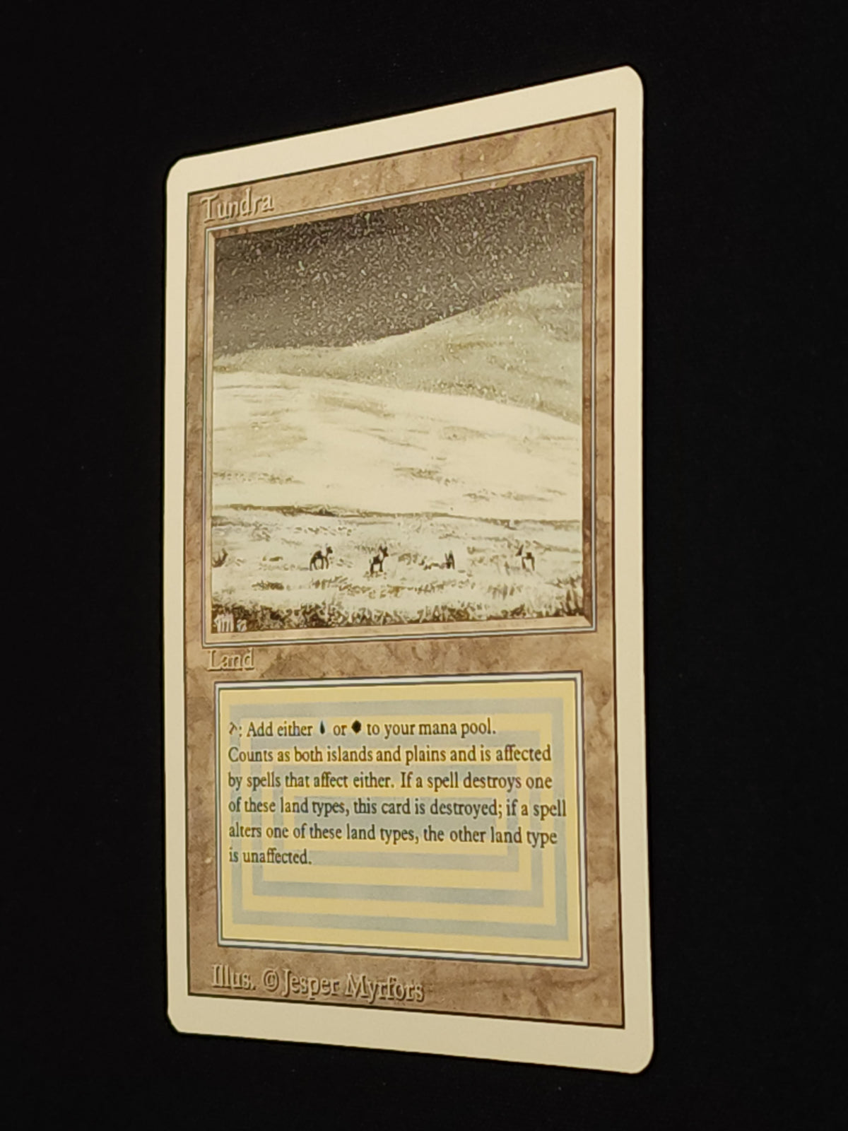 Tundra