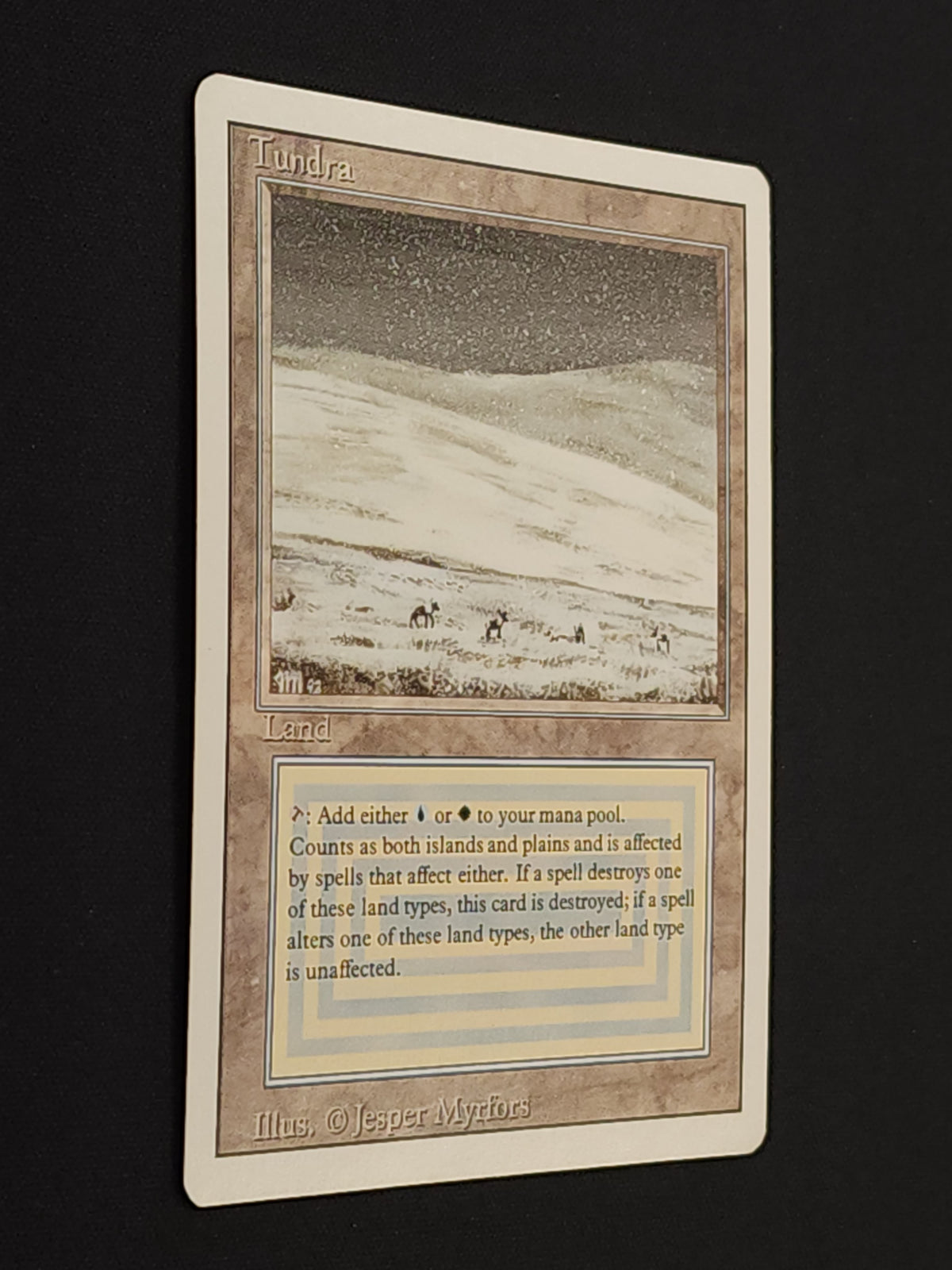 Tundra