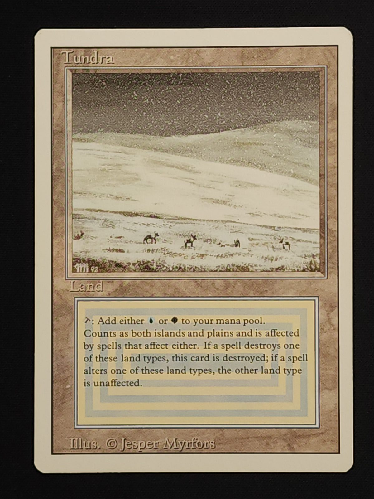 Tundra
