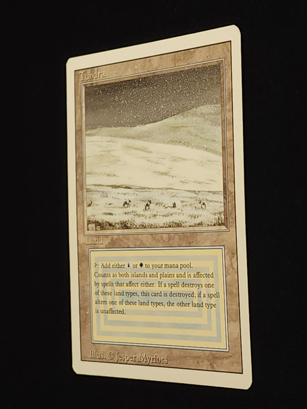 Tundra