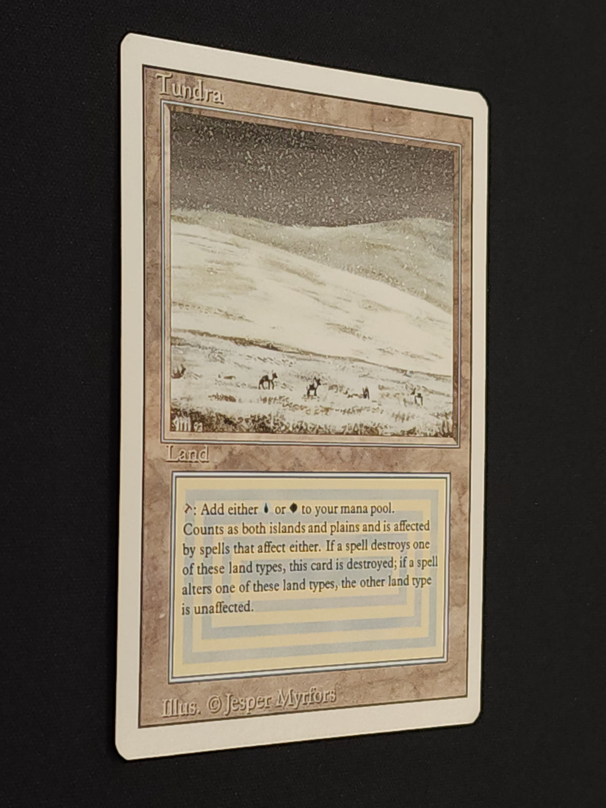 Tundra