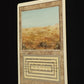 Scrubland