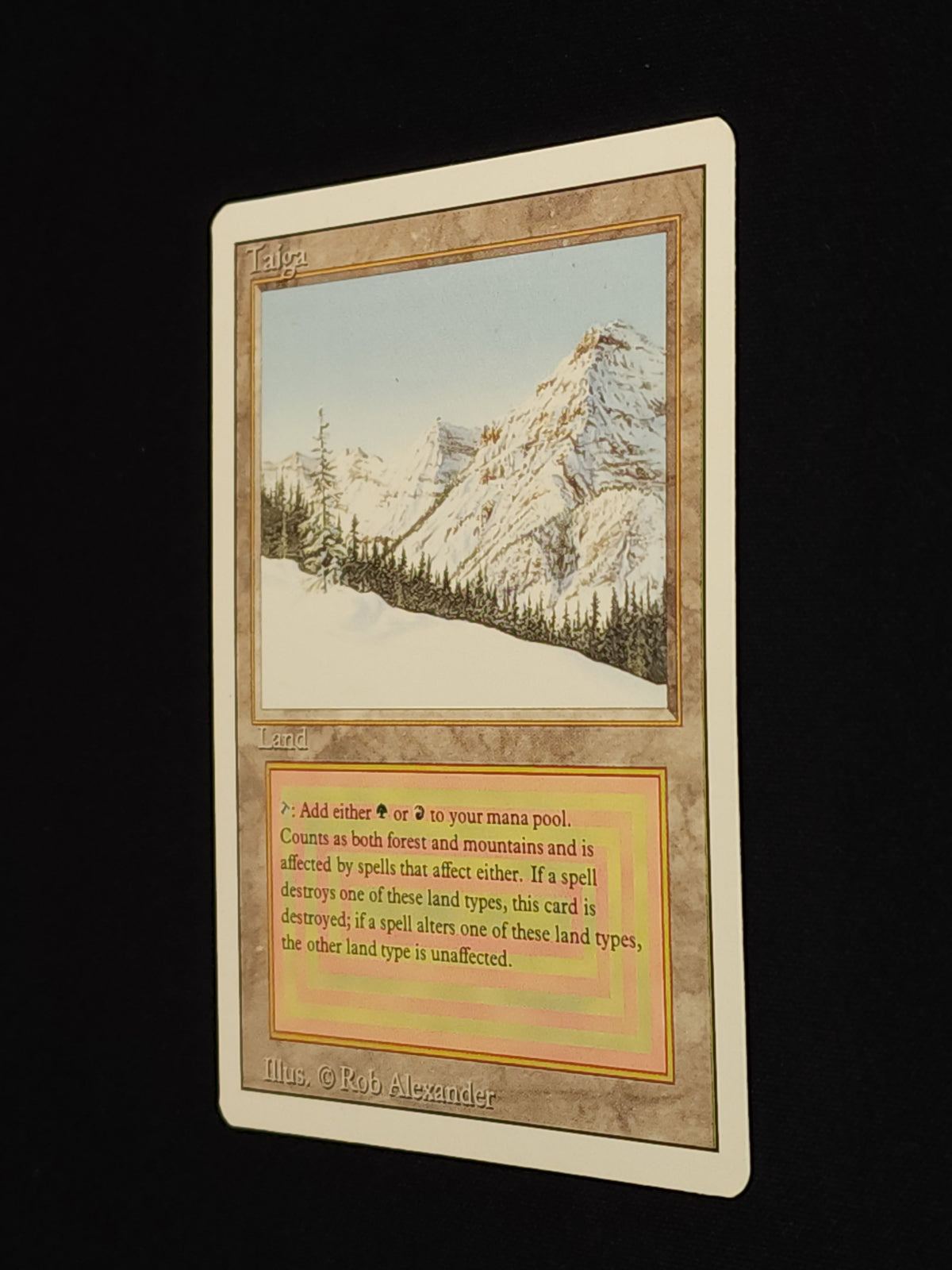 Taiga