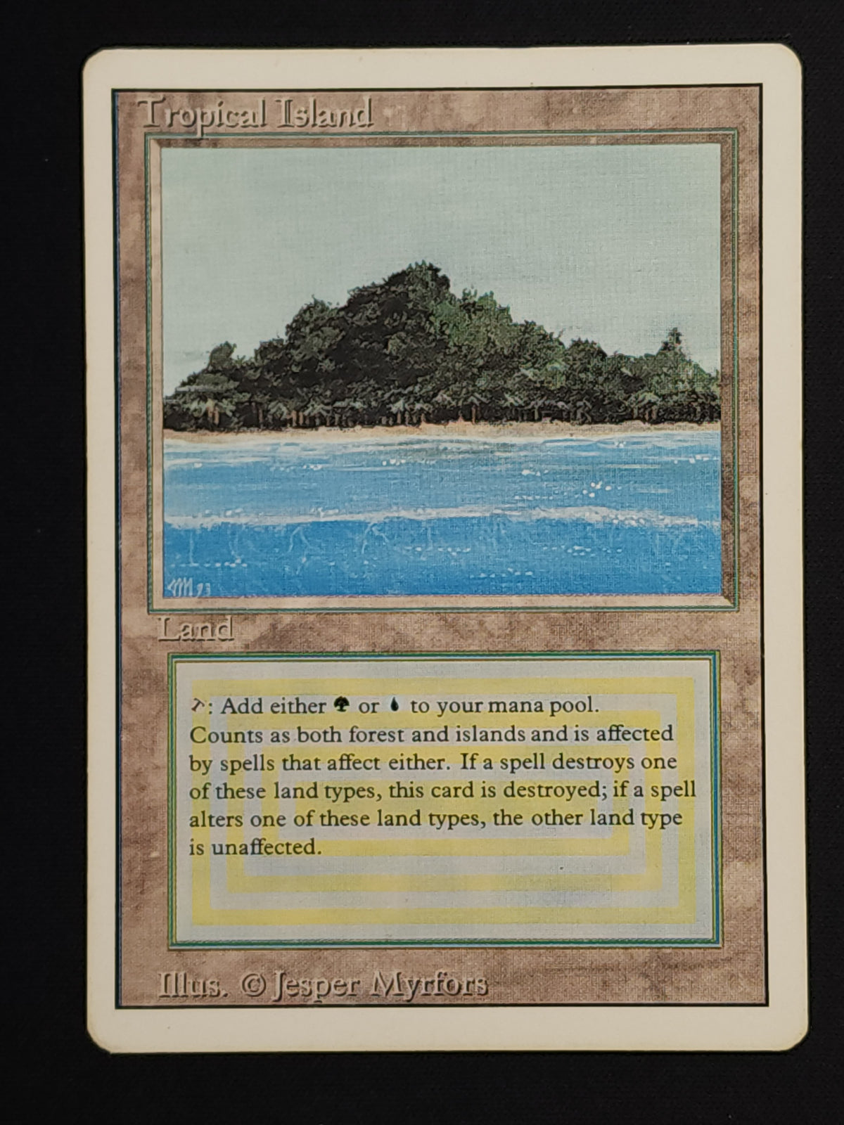 Tropical Island