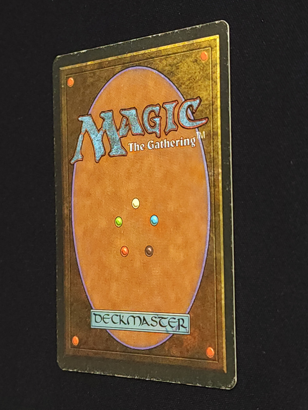 Savannah