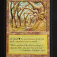 Gaea's Cradle
