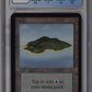 Island (Blue Sky) CGC 8 1993 Limited Edition (Alpha) #