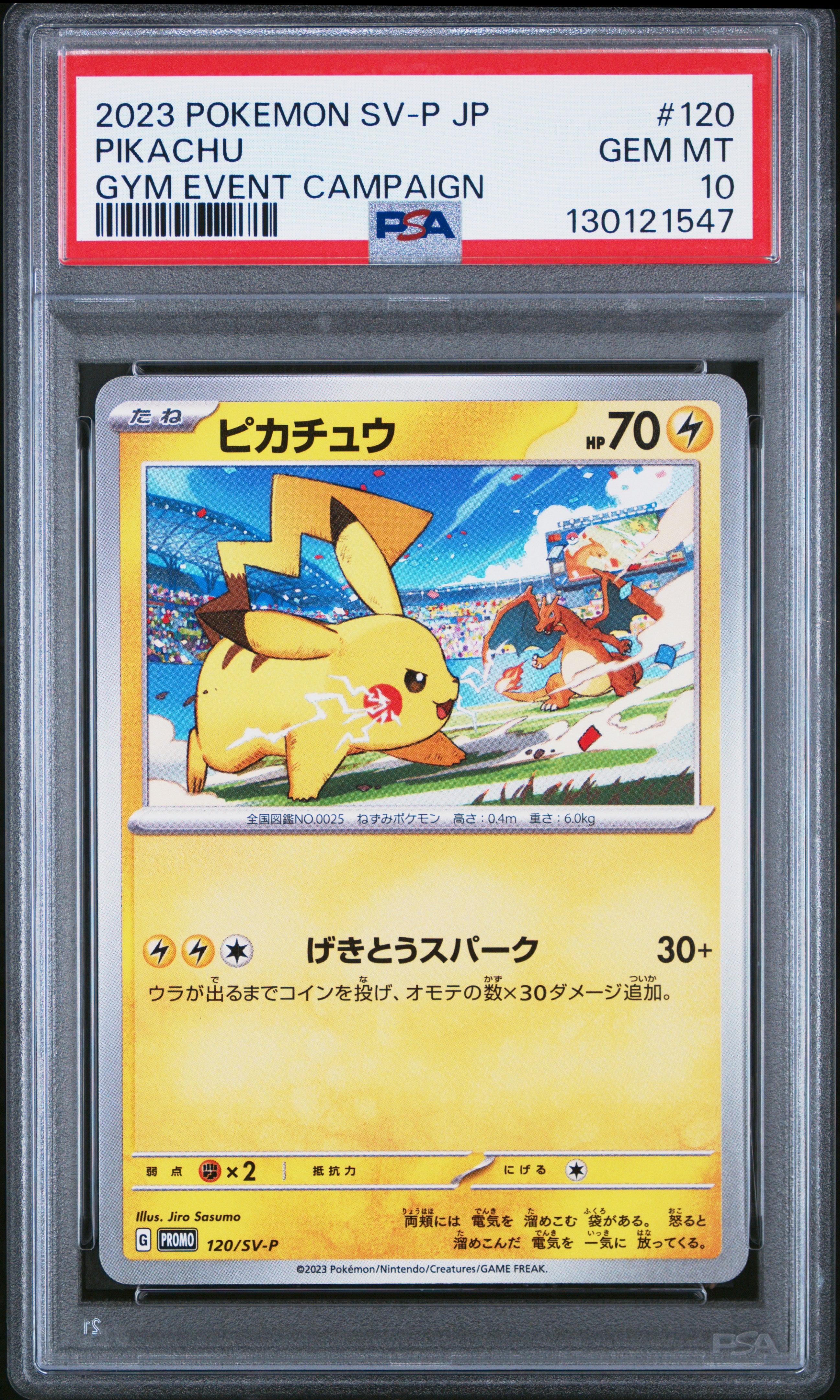 2023 ピカチュウ PSA10 GYM EVENT CAMPAIGN Pikachu Gym Event Campaign PSA 10 2023 Pokemon Japanese Sv-P Promo
