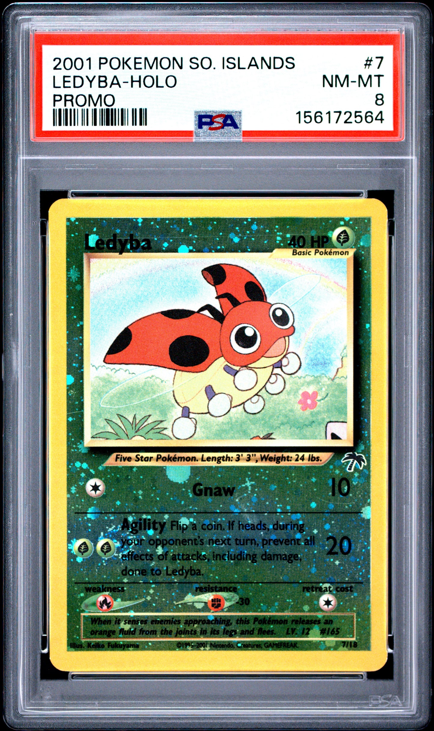 Ledyba Holo PSA 8 2001 Southern Islands Promo #7