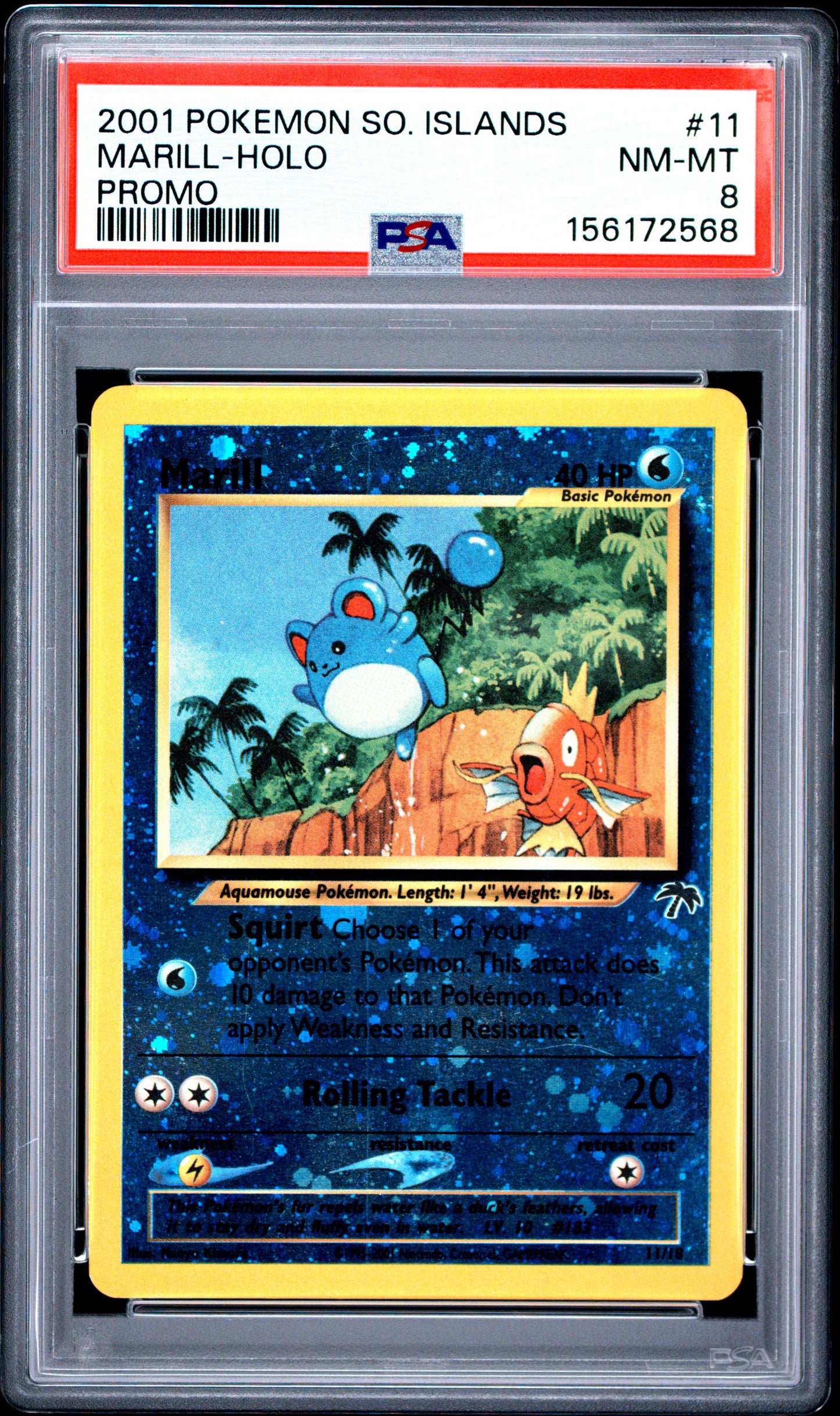 Marill Holo PSA 8 2001 Southern Islands Promo #11