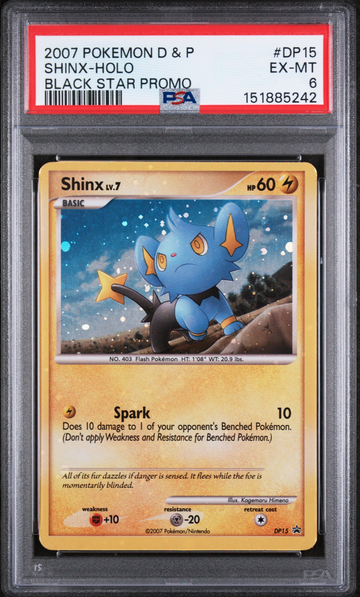 Shinx Holo PSA 6 2007 D&P Black Star Promo FULL HOLO BLEED! #DP15 POP 7