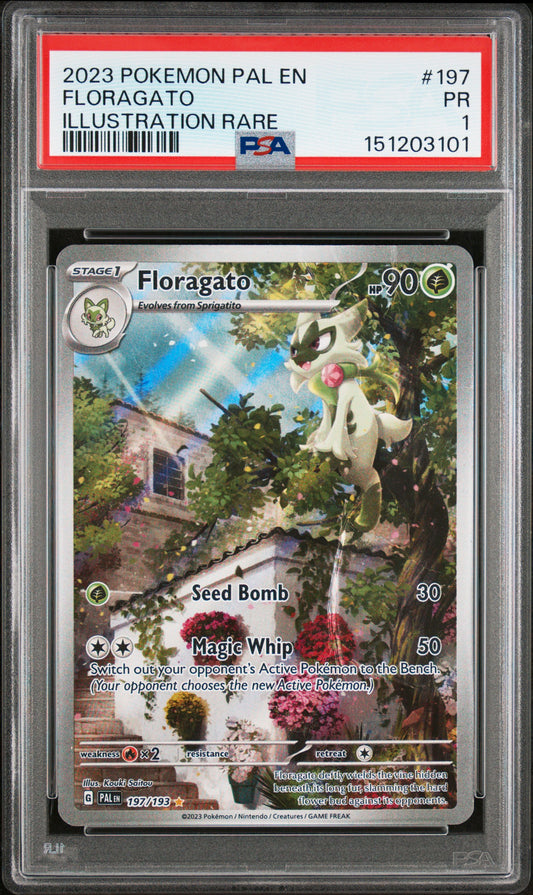 Floragato Illustration Rare PSA 1 2023 Pokemon En Paldea Evolved #197 POP 1