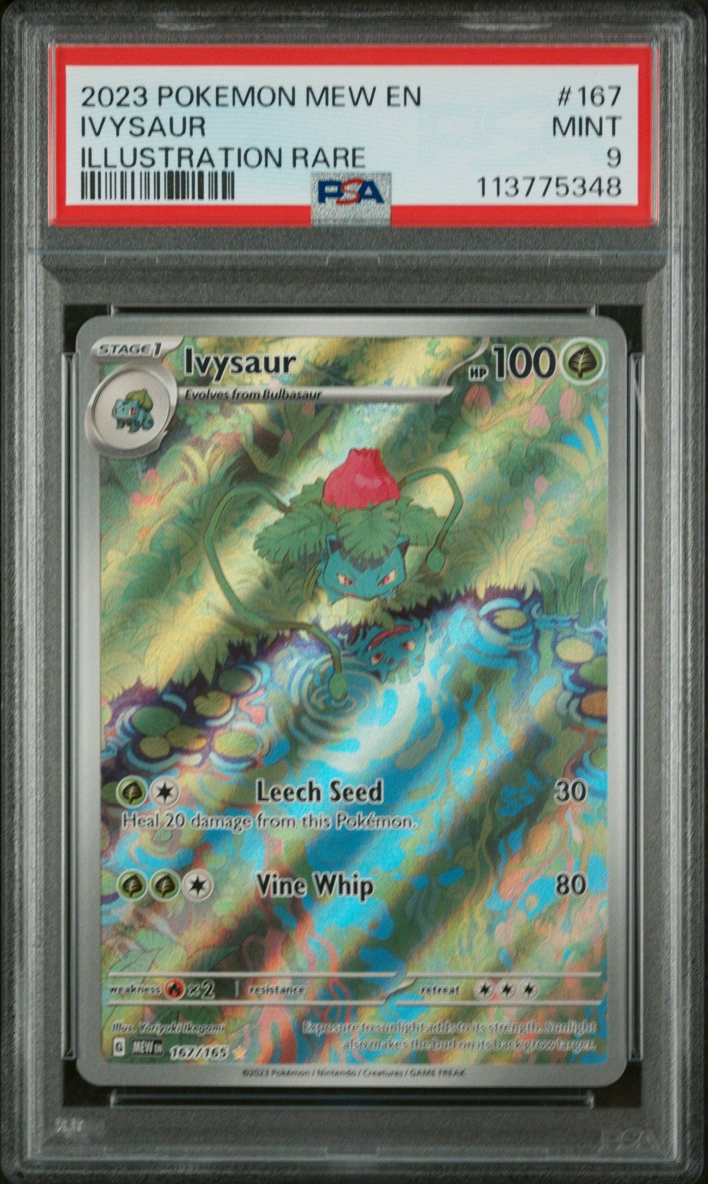 Ivysaur Illustration Rare PSA 9 2023 Pokemon En Mew 151 #167