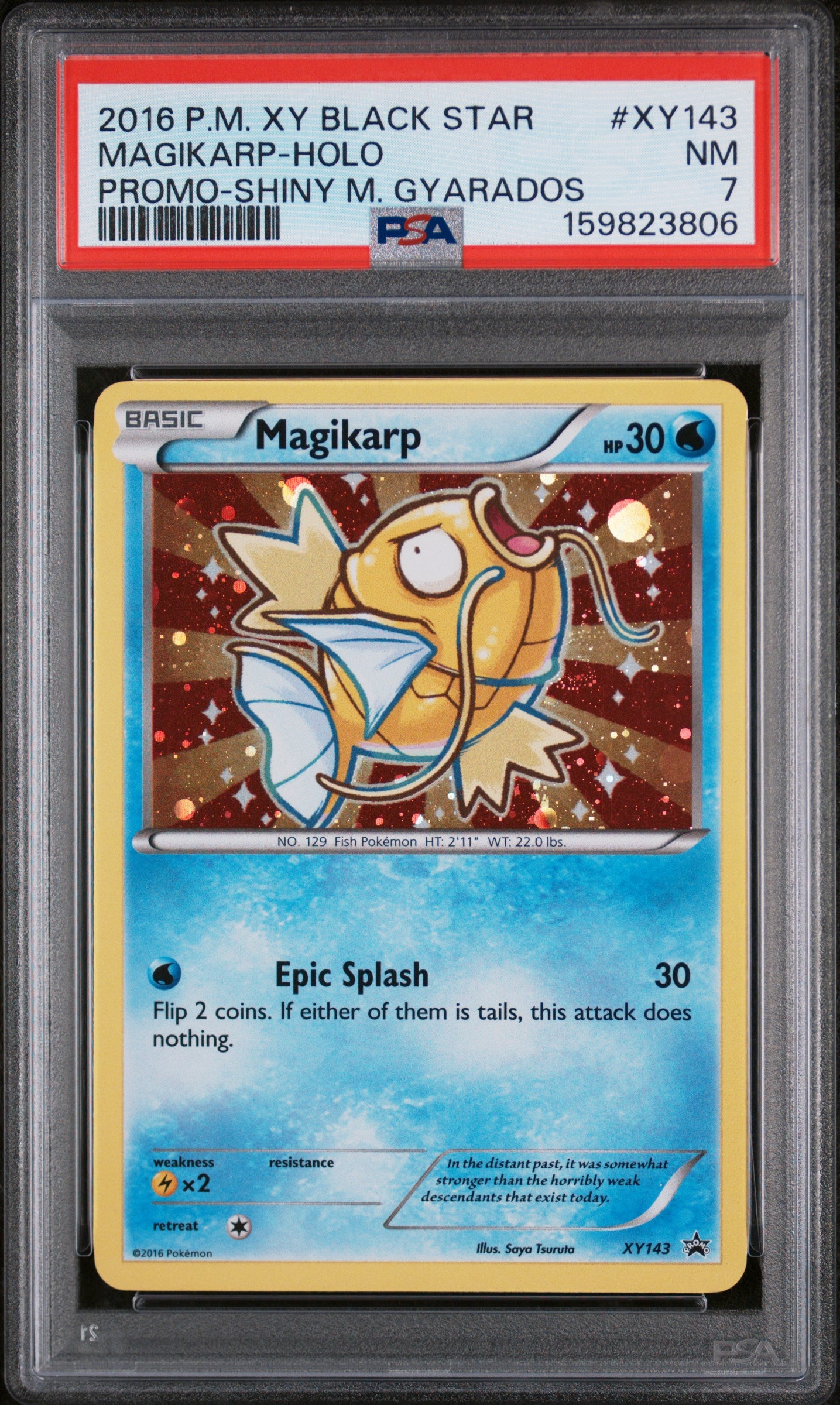 Magikarp Holo PSA 7 2016 Pokemon XY Black Star Promo Shiny M Gyarados  #XY143