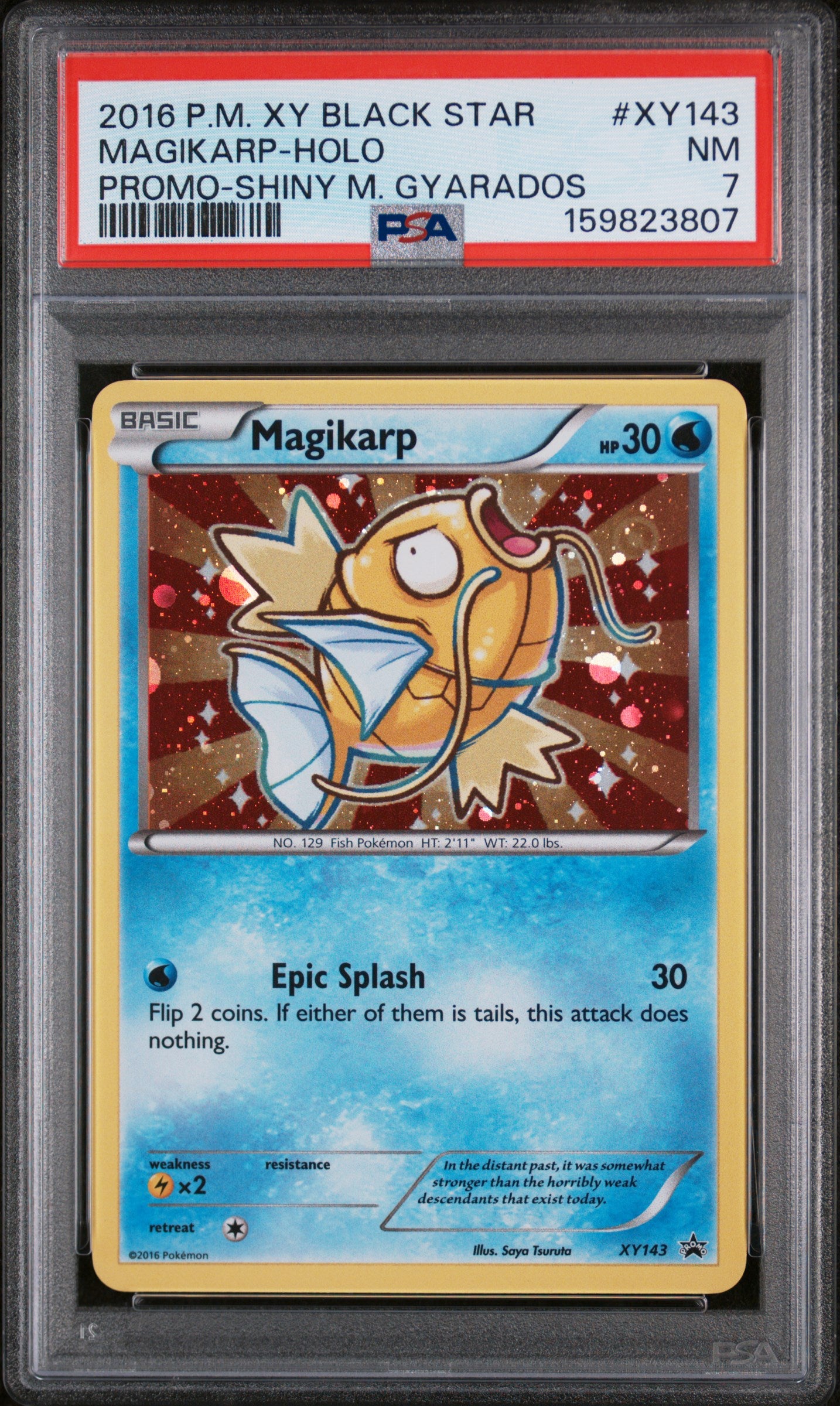 Magikarp Holo PSA 7 2016 Pokemon XY Black Star Promo Shiny M Gyarados #XY143
