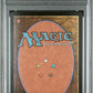 Progenitus Showcase Fracture Foil PSA 10 2024 MTG Foundations #441 - Mislabel