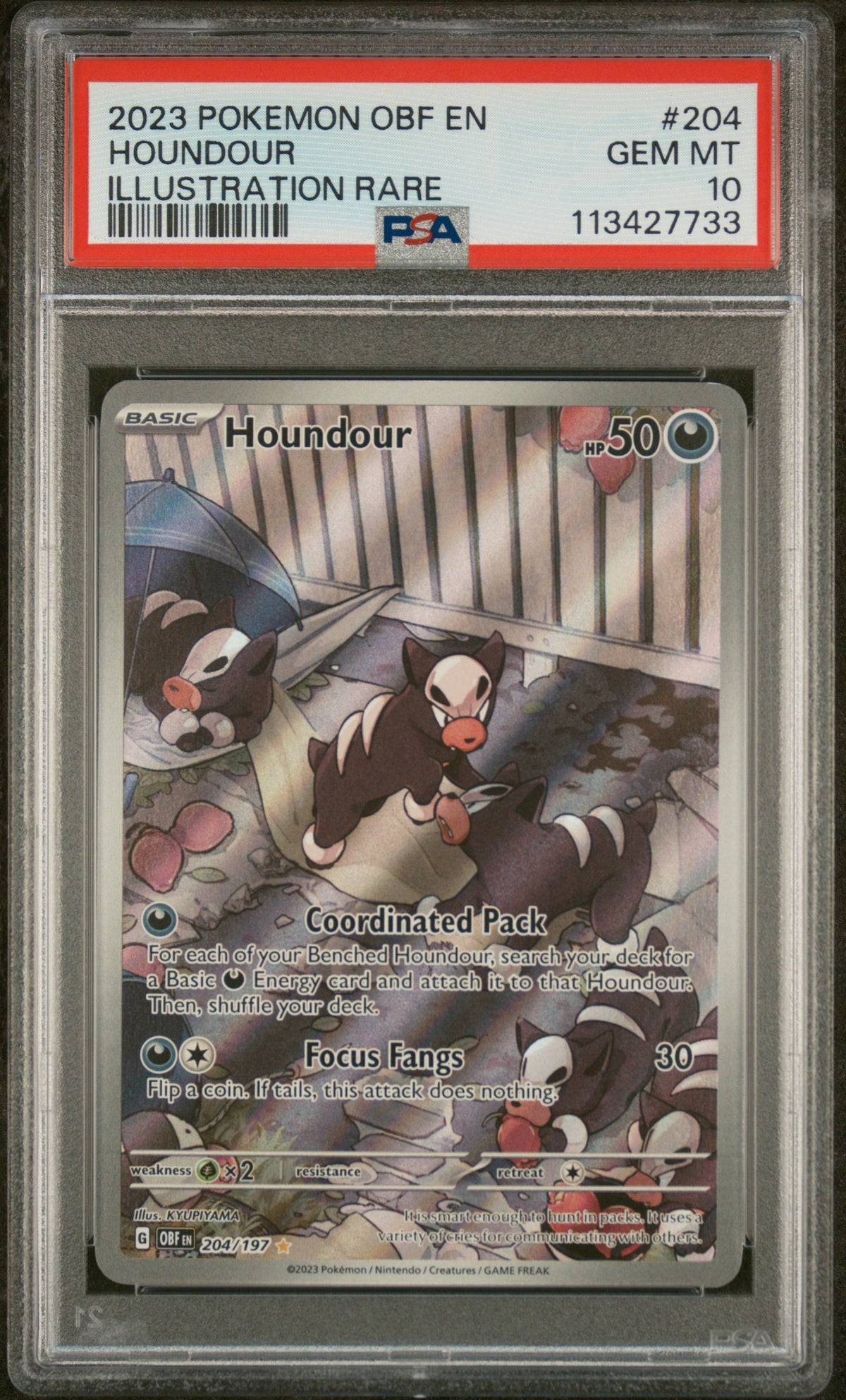 Houndour Illustration Rare PSA 10 2023 Pokemon En Obsidian Flames #204