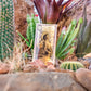 50 Arizona Alpha Goldback