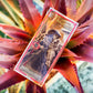 10 Arizona Alpha Goldback