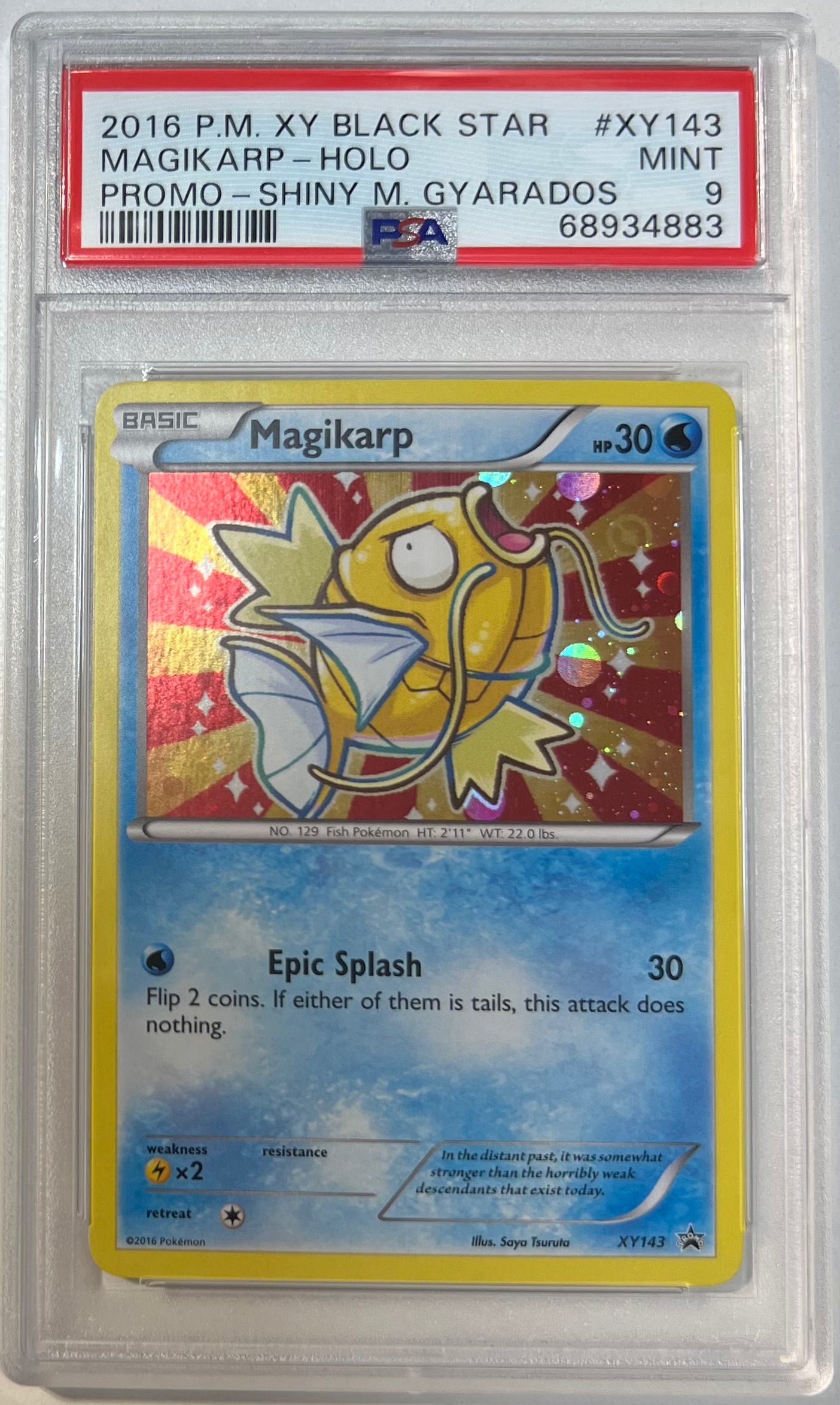 Magikarp Holo Shiny PSA 9 2016 Xy Black Star M Gyarados Promo #XY143
