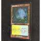 Misty Rainforest (FOIL ETCHED)